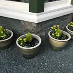 住宿加早餐酒店 伯恩赛德住宿加早餐旅馆 凯西克