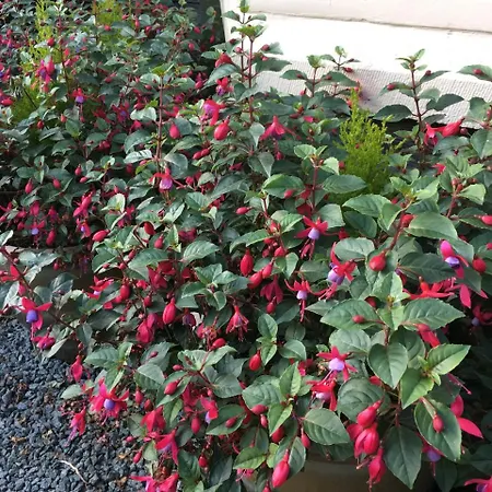 Burnside Bed & Breakfast 4*