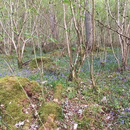 Burnside 4* Keswick (Cumbria)