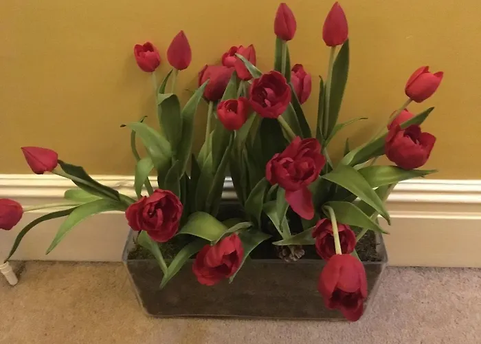 Bed & Breakfast Burnside Keswick (Cumbria)