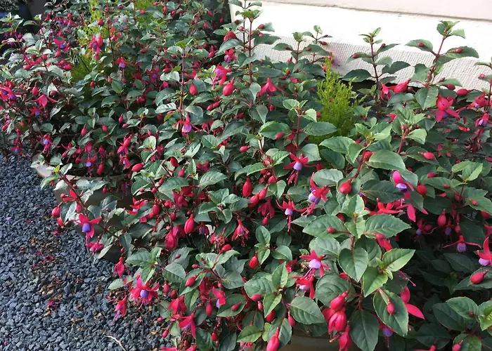 Burnside Bed & Breakfast 4*