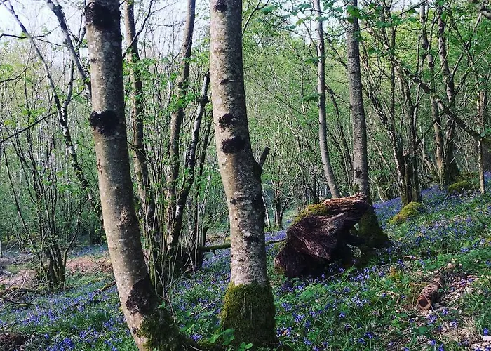 Burnside 4* Keswick (Cumbria)