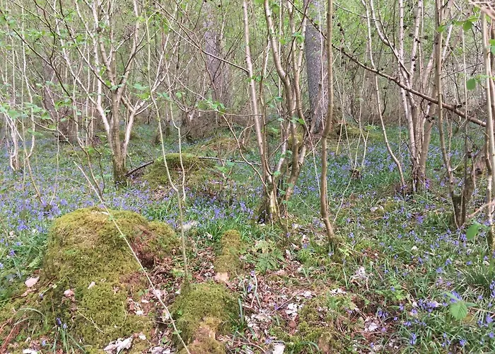 Burnside 4* Keswick (Cumbria)