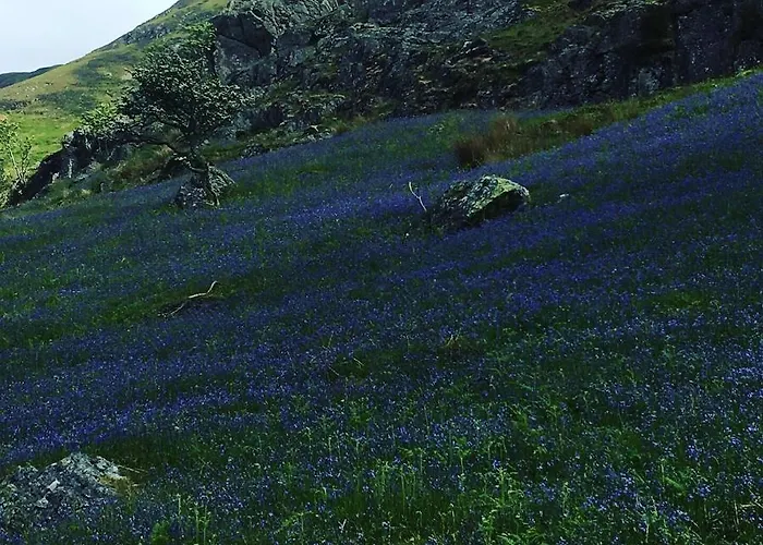 Burnside 4* Keswick (Cumbria)