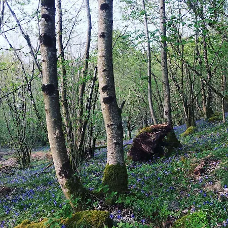 Burnside 4* Keswick (Cumbria)